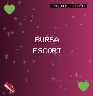 Bursa Escort: Gemlik Escort, Büyükorhan Escort, Orhangazi Escort